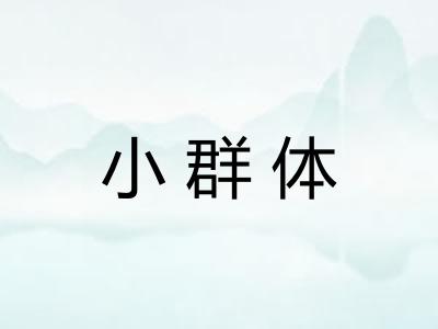 小群体