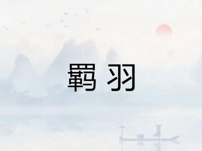 羁羽