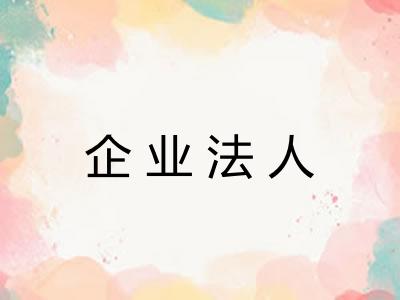 企业法人