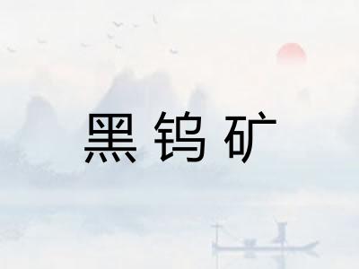 黑钨矿