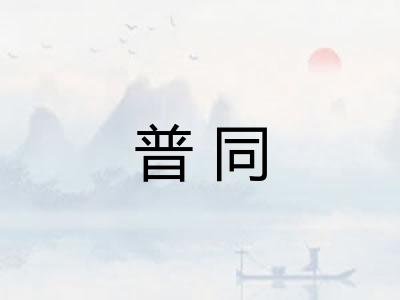 普同