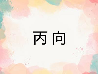 丙向