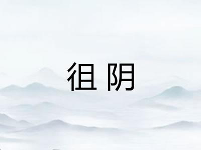 徂阴