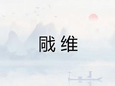 戙维