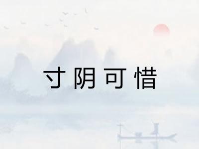 寸阴可惜