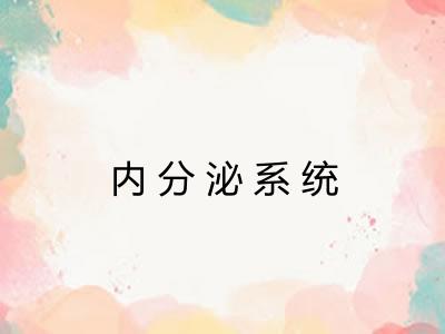 内分泌系统