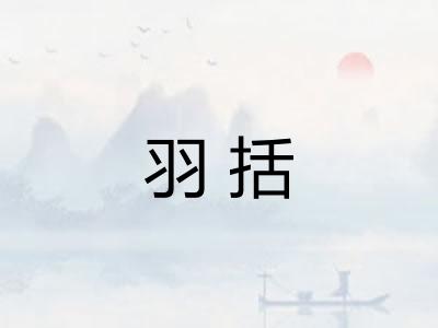 羽括