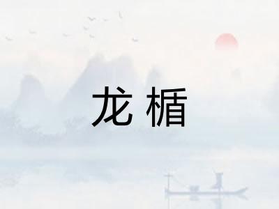 龙楯