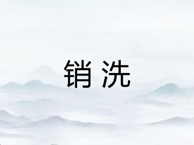 销洗