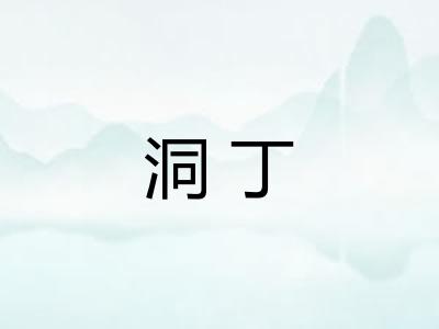 洞丁