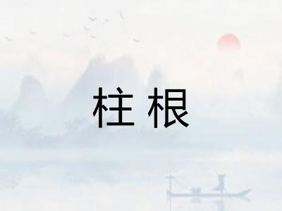 柱根