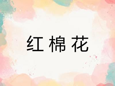 红棉花