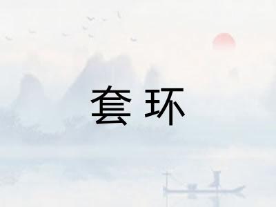 套环