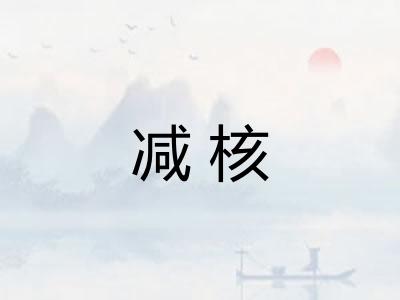 减核