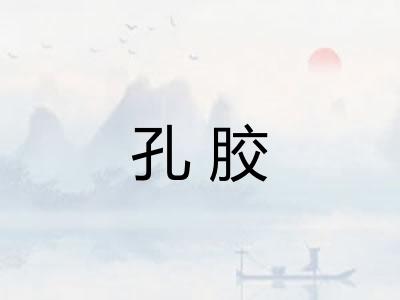 孔胶