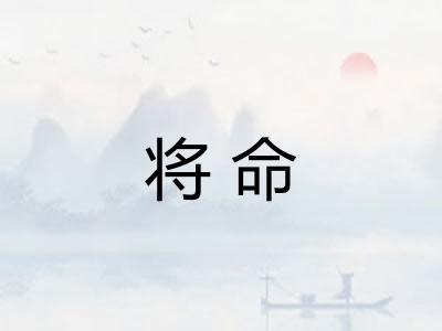 将命