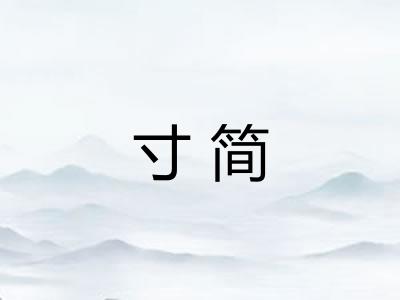 寸简