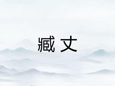 臧丈