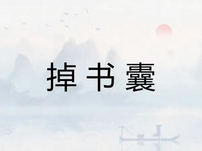 掉书囊