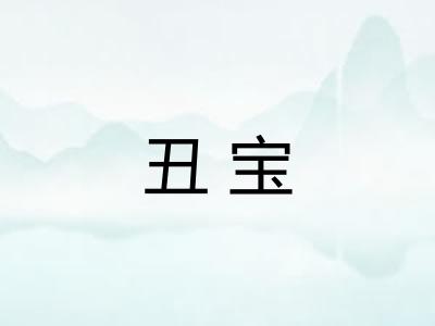 丑宝