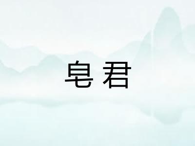 皂君