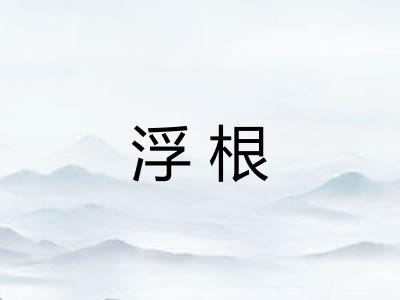 浮根