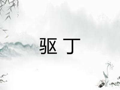 驱丁