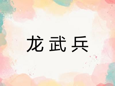 龙武兵