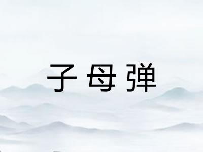 子母弹