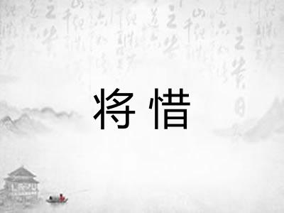 将惜