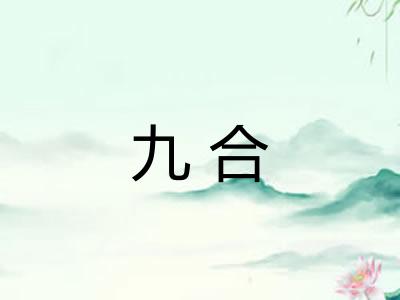 九合