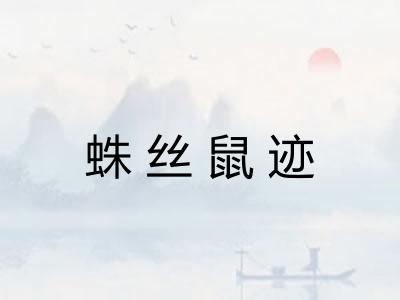 蛛丝鼠迹