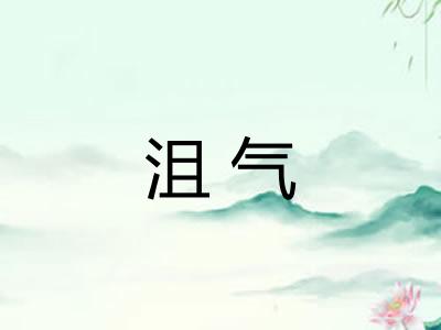 沮气