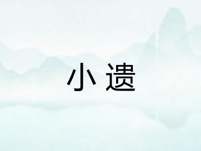 小遗