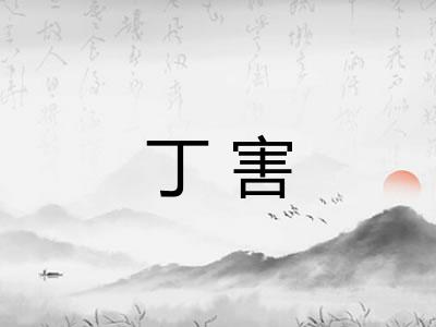 丁害