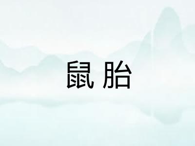 鼠胎