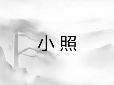 小照