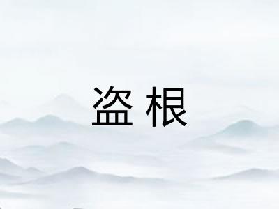 盗根