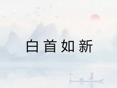 白首如新