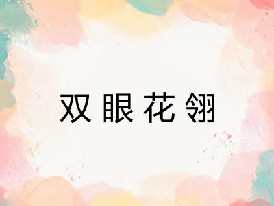 双眼花翎