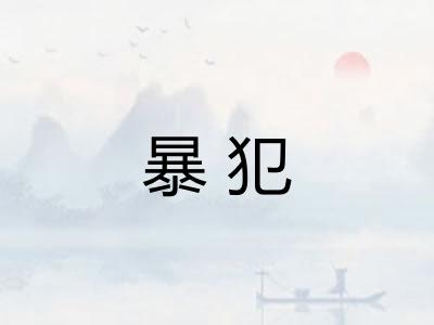 暴犯