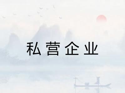 私营企业