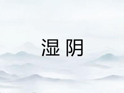 湿阴