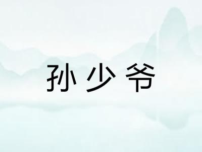 孙少爷