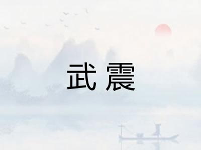 武震