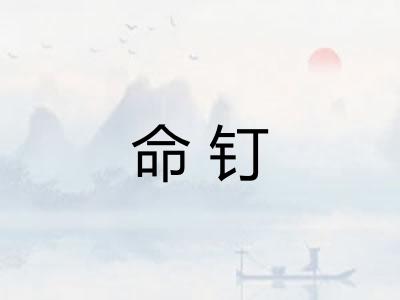 命钉