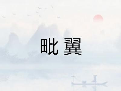 毗翼