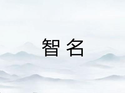 智名