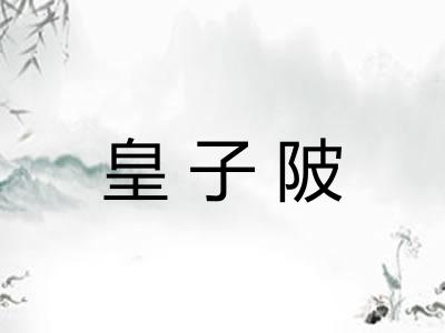 皇子陂