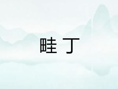 畦丁